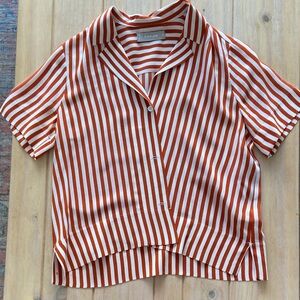 Everlane The Notch Shirt in Washable Silk | EUC